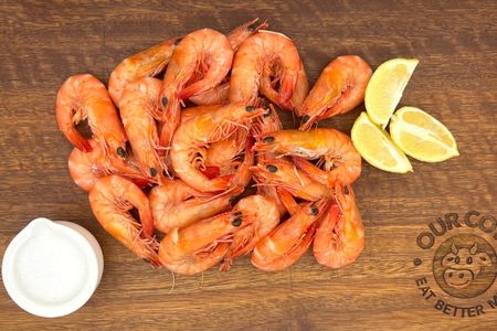 5kg Wild Caught Prawn Special